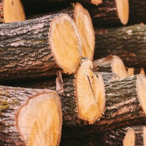 Hartlaubholz PEFC – Hartholzmix (Ahorn, Buche, Eiche, Esche, Robinie) 20 RM