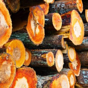 Weichlaubholz PEFC – Laubholzmix (Birke, Erle, Espe, Linde, Weide) 20 RM