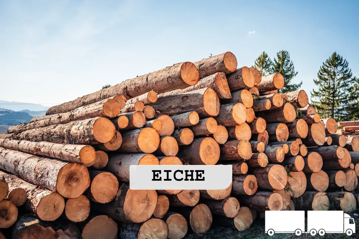 Stammholz252BFichte252BLKW