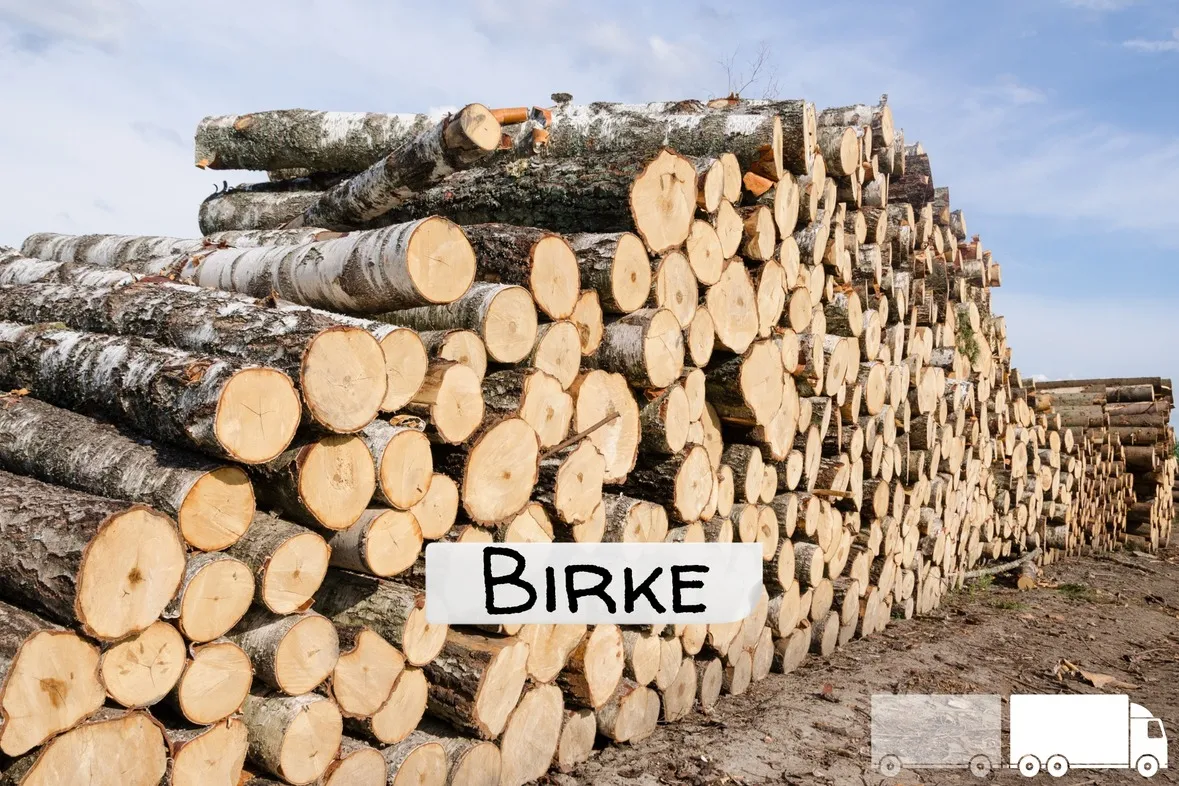 Stammholz2BBirke2BLKW