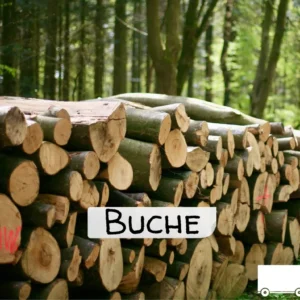 Stammholz - Buche - halbe LKW-Ladung 20 RM