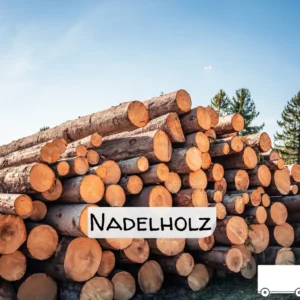 Stammholz - Nadelholz - ganze LKW-Ladung 40 RM