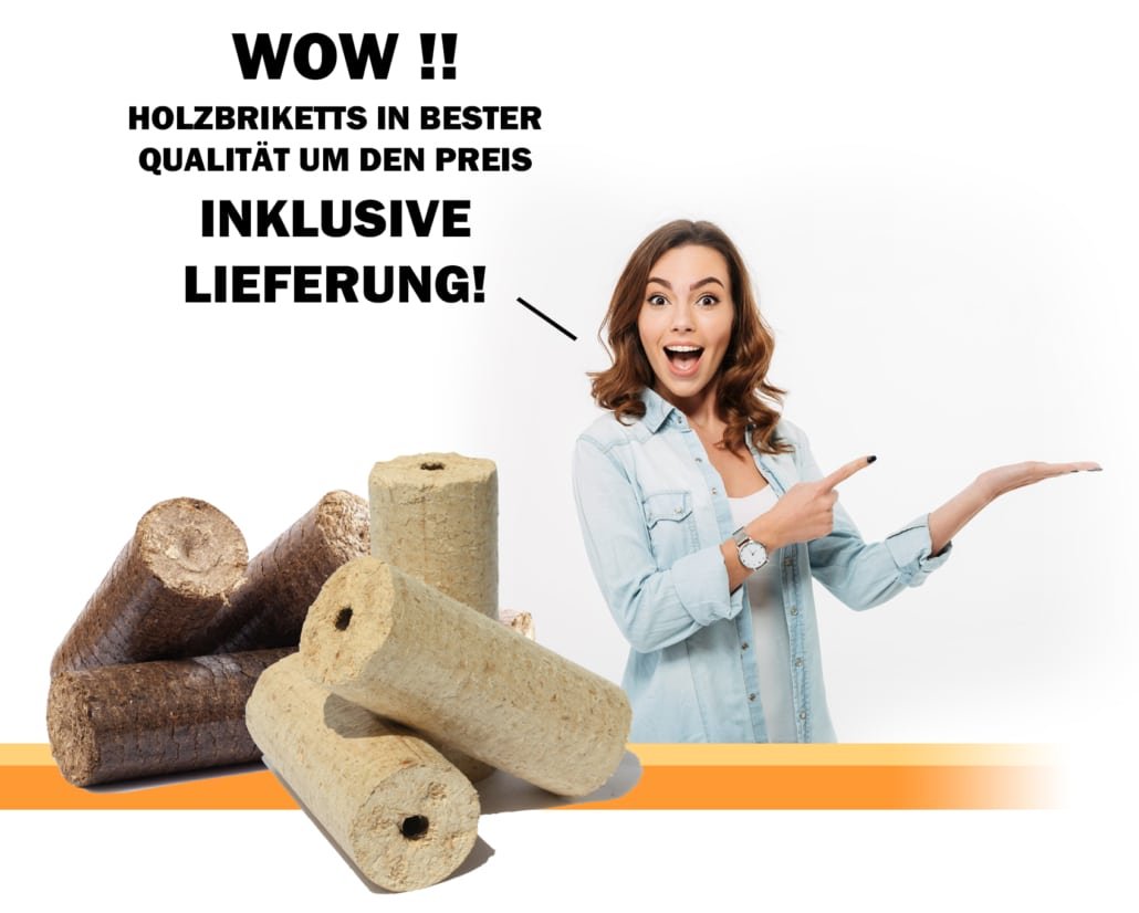 holzbriketts-wow5-1030x826